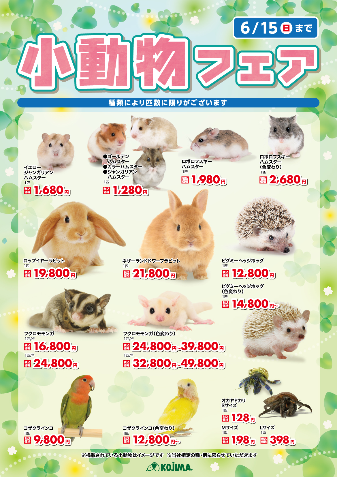 小動物フェア-01