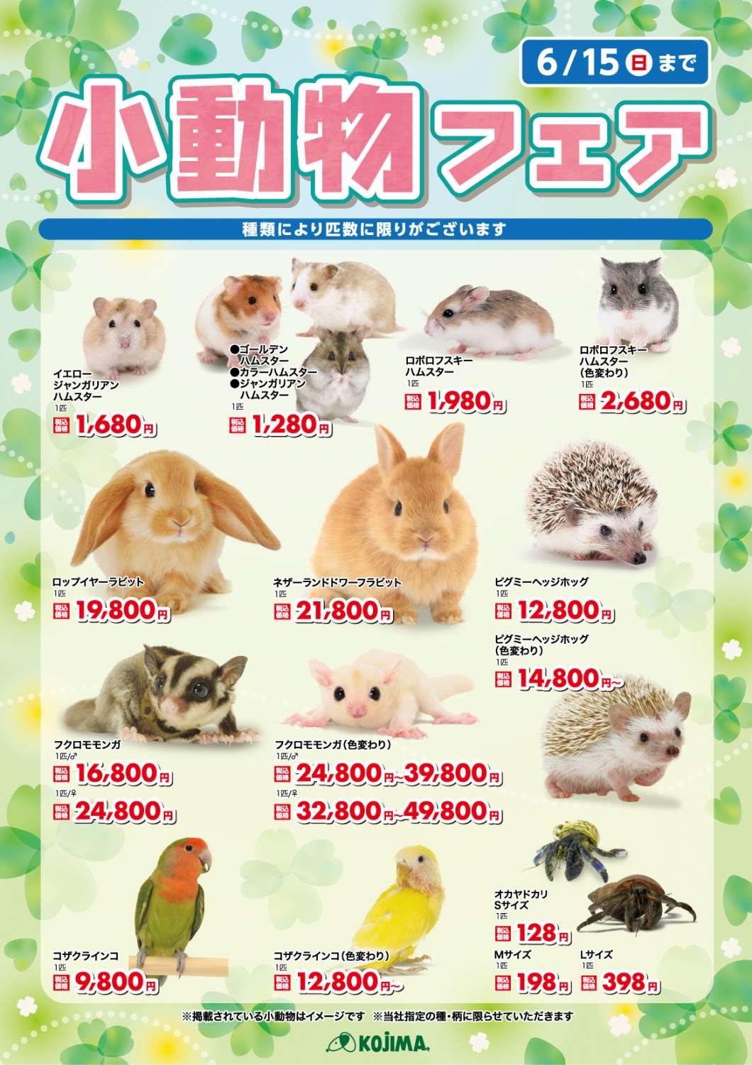 小動物フェア-01