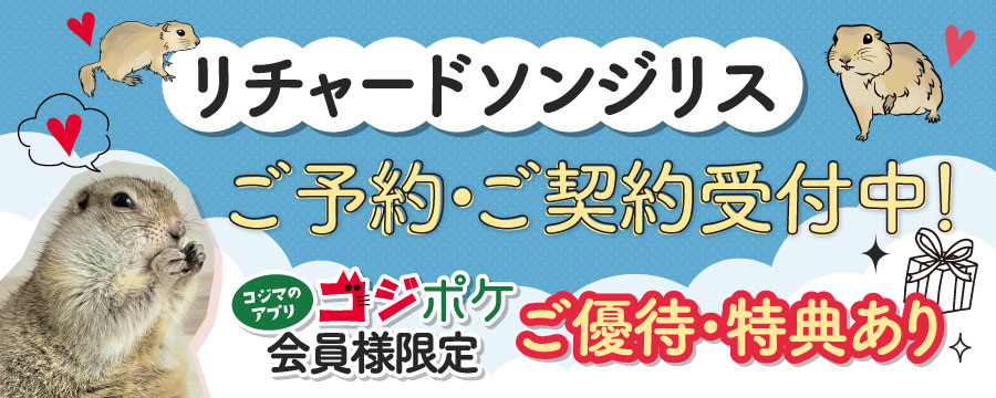 リチャードソンジリスキャンペーン