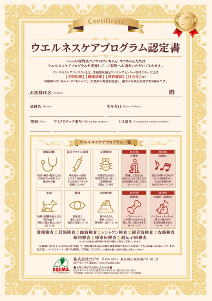 ウエルネスケアプログラム認定書