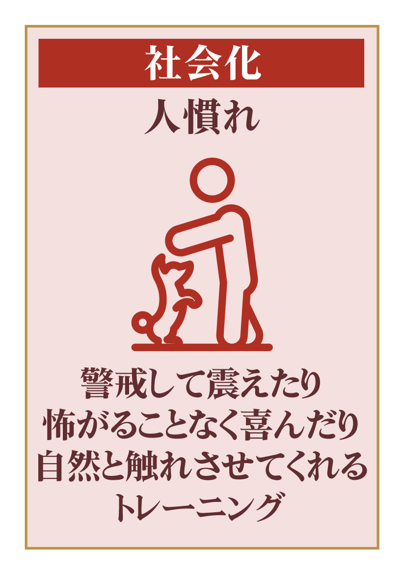人慣れ
