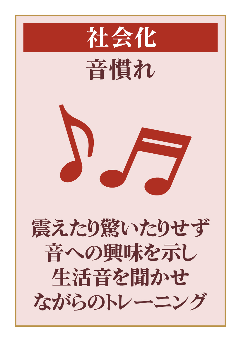 音慣れ