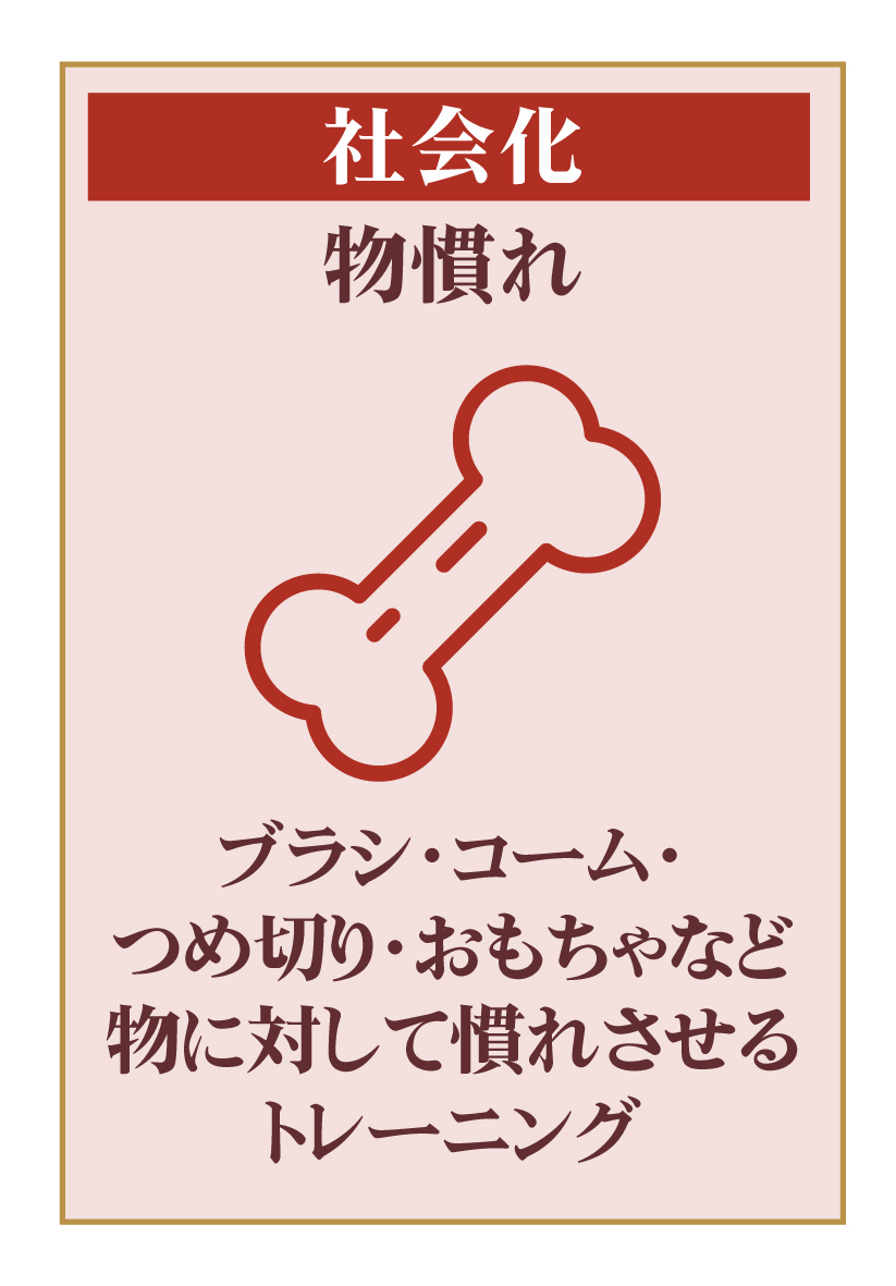 物慣れ
