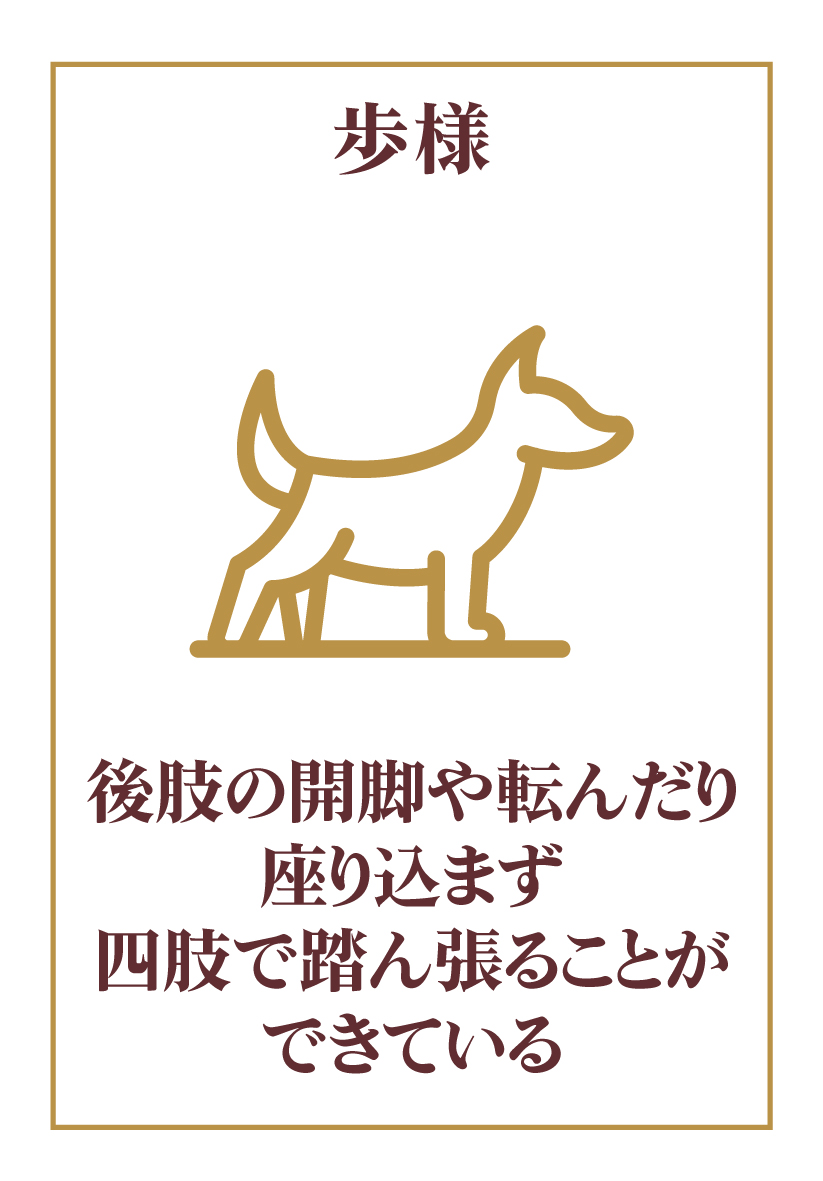歩様