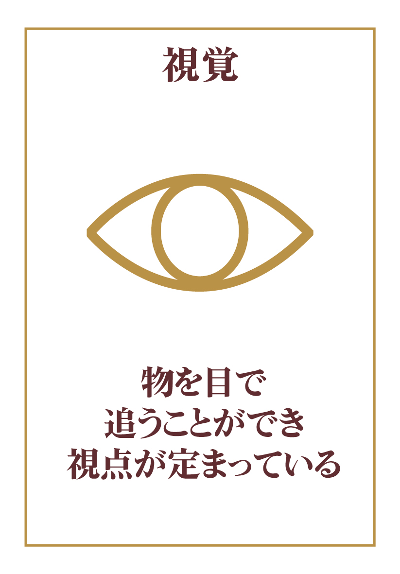 視覚