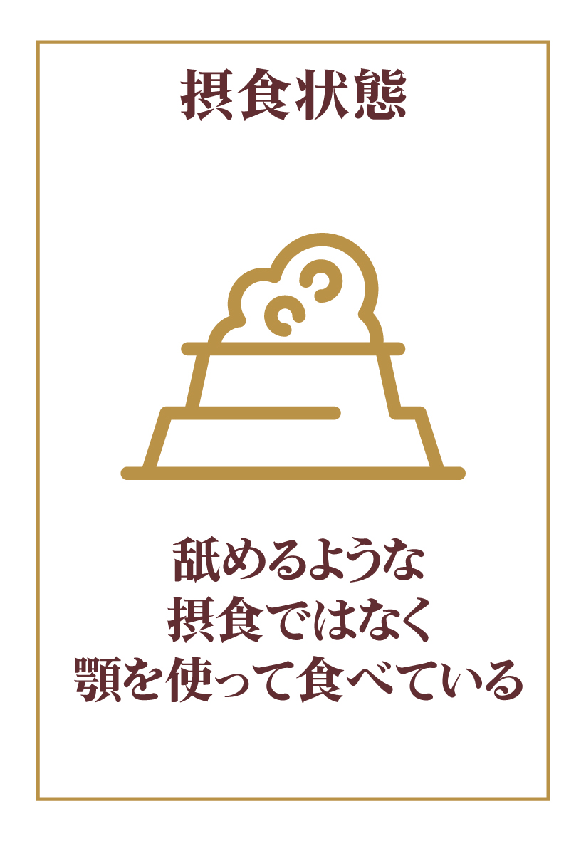 摂食状態