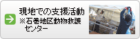 現地での支援活動