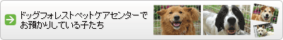 linkbanner3.gif