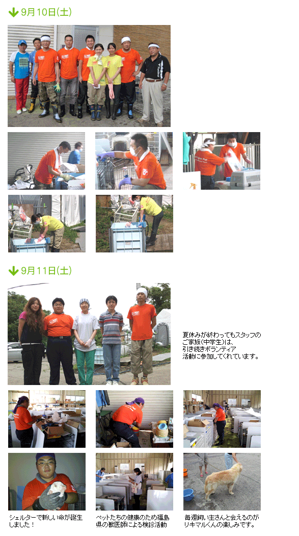 news23-1.gif