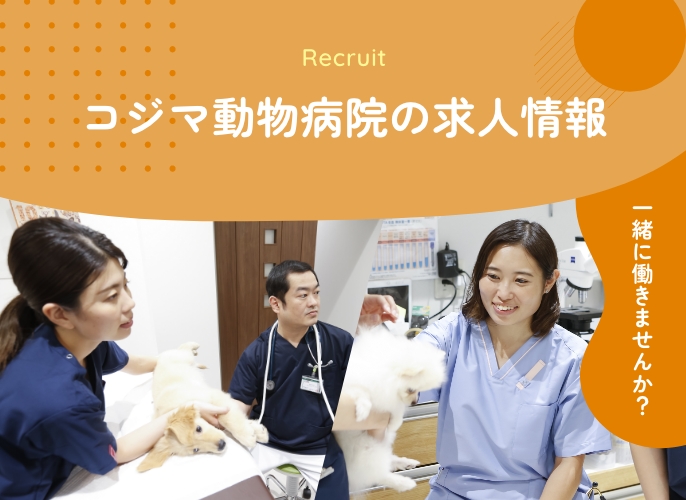 コジマ動物病院の求人情報