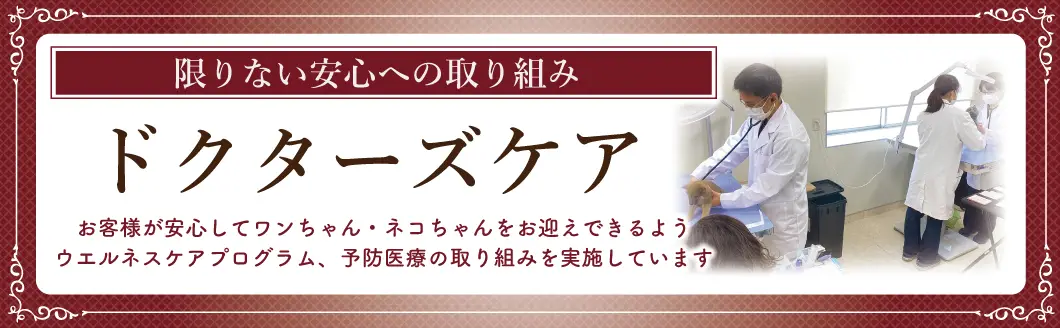 限りない安心への取り組み ドクターズケア お客様が安心してワンちゃん・ネコちゃんをお迎えできるようウエルネスケアプログラム、予防医療の取り組みを実施しています