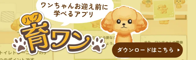 ワンちゃんお迎え前に学べるアプリ 育ワン