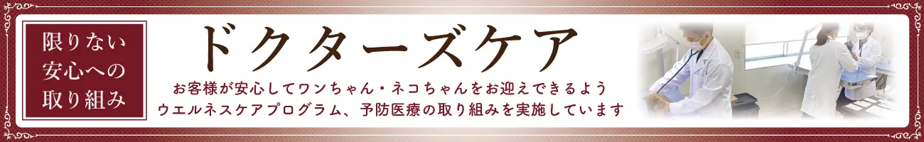 限りない安心への取り組み ドクターズケア お客様が安心してワンちゃん・ネコちゃんをお迎えできるようウエルネスケアプログラム、予防医療の取り組みを実施しています
