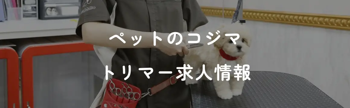 バナートリマー求人情報