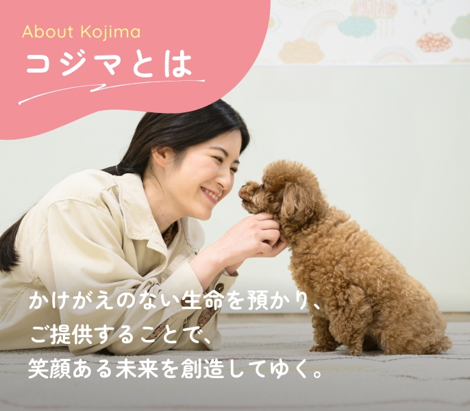コジマとは
