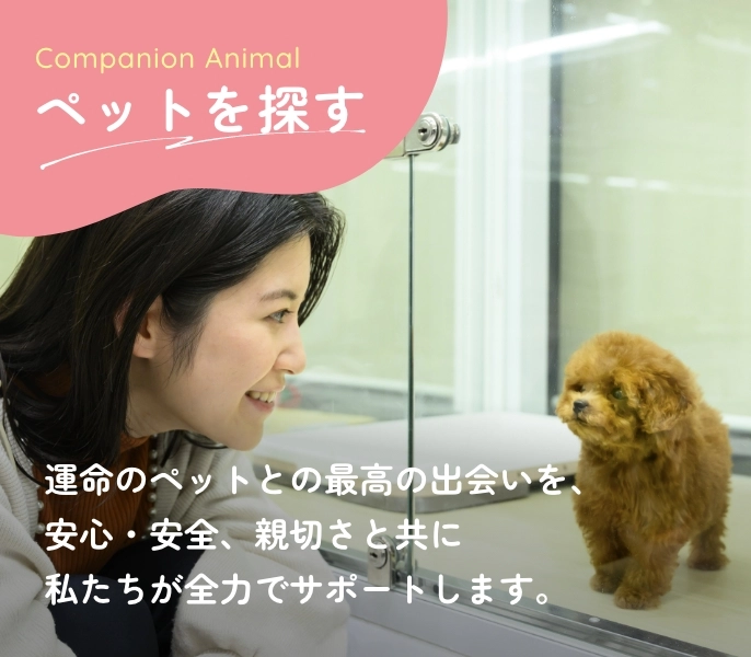 ペットを探す