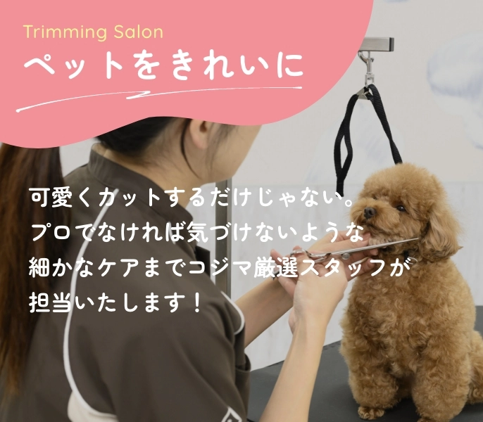 ペットをきれいに