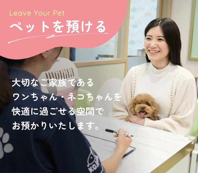 ペットを預ける