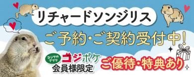 PCSP共通バナー(リチャードソンジリス)_w900×h360px_250512