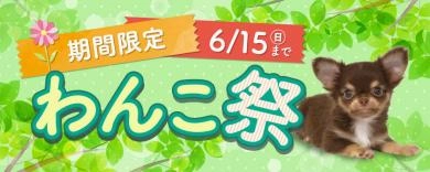 PCSP共通バナー(わんこ祭)_w900×h360px_250512