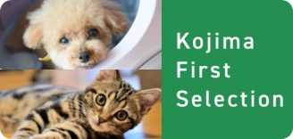 footer-banner_selection