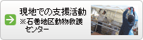 現地での支援活動