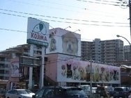 コジマ和光店の店舗写真