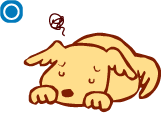 guide_dog_first_img03.gif
