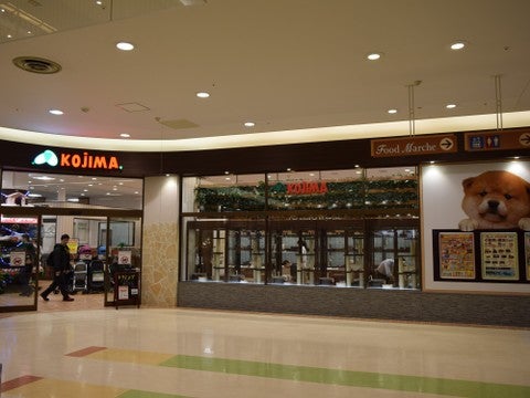 コジマ三郷店の写真