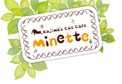 KOJIMA&apos;s Cat Cafe