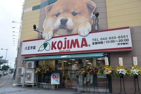 コジマ八王子店の店舗写真