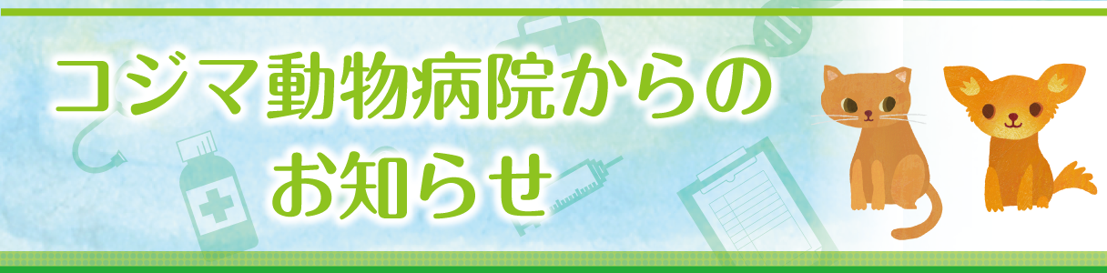 コジマ動物病院からのお知らせ