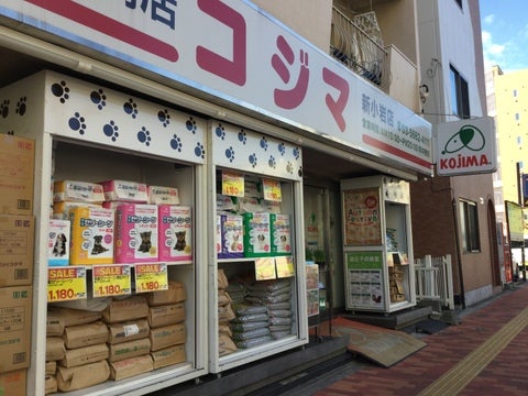 コジマ新小岩店の店舗写真