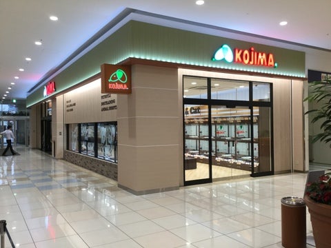 コジマアリオ西新井店の店舗写真