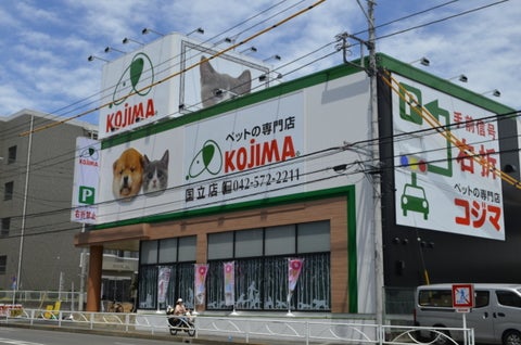コジマ国立店の店舗写真