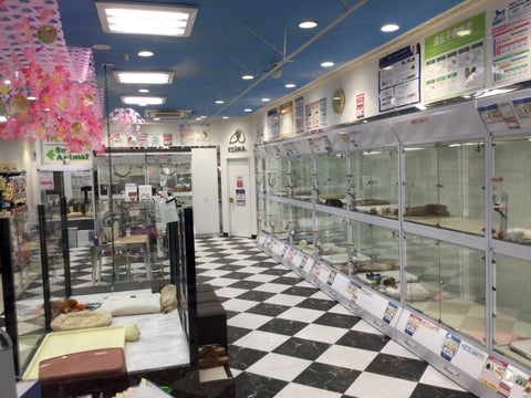 コジマ松戸店の店舗写真