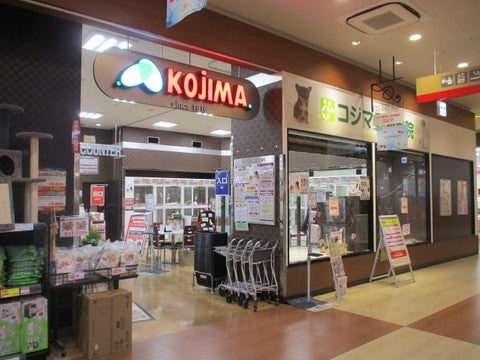 コジマフォルテ津田沼店の店舗写真