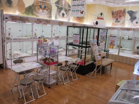コジマ明石店の写真