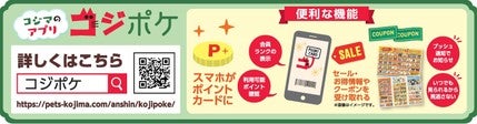 インスタグラム