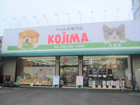 コジマ大宮店の店舗写真