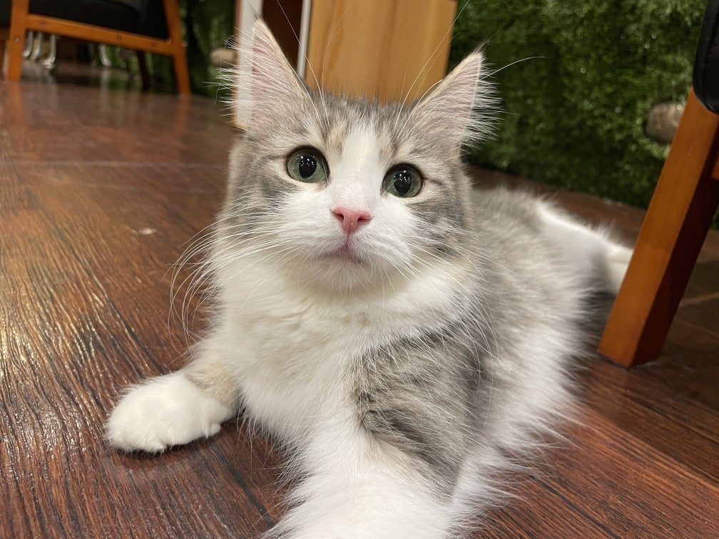 ちゅら