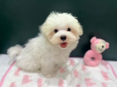 2024/07/02 まだのんびりさんかな😌🎶困り顔さんです☺️