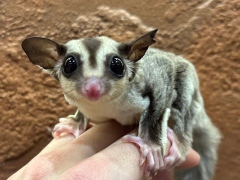 是非お店でご覧ください✨