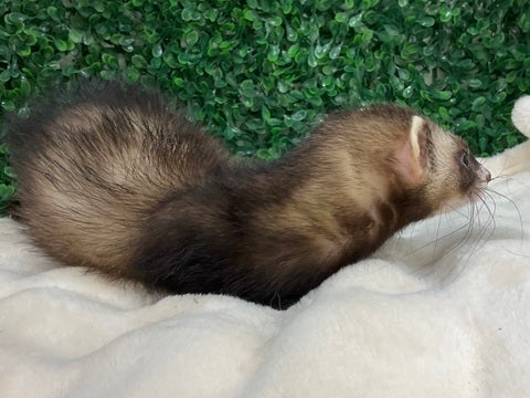 眠たくなっちゃった😴