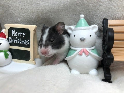 まだ少し警戒してます！