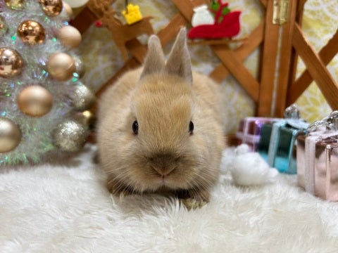 是非八王子店でお待ちしております♪