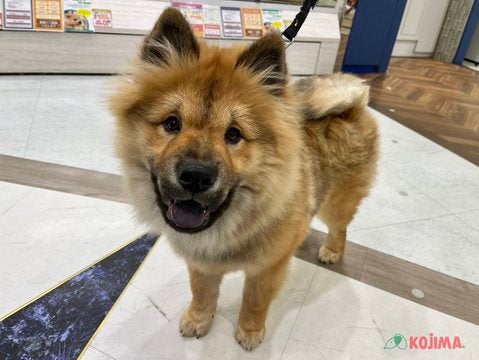 【2024/12/20撮影】自由奔放のマイペースくん🐻おめめくりくりなんだよ！💓