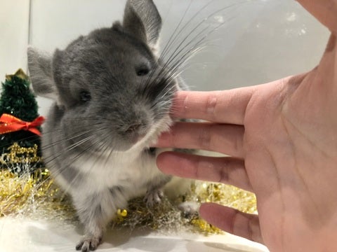 カキカキ好きです💕