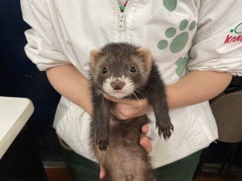 みなさまのご来店をスタッフ一同お待ちしております🫶🫶🫶🫶🫶