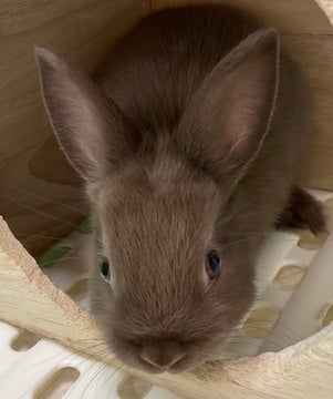 🐰🐰ご来店お待ちしております♪🐰🐰